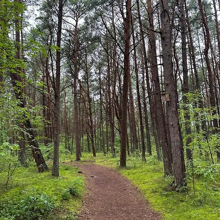 Pearl Deluxe 2 Sypialnie Z Widokiem Na Wydme I Na Jezioro Apartment