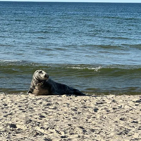 Apartment Pearl Deluxe 2 Sypialnie Z Widokiem Na Wydme I Na Jezioro